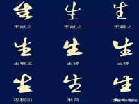 安徽雷昂本信息科技有限公司
