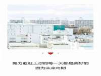 安徽雷昂本信息科技有限公司