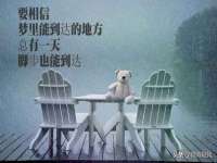 安徽雷昂本信息科技有限公司