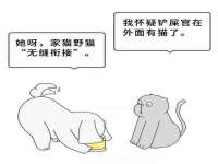 安徽雷昂本信息科技有限公司