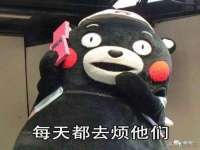 安徽雷昂本信息科技有限公司