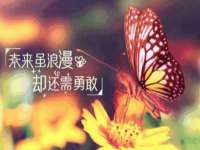 安徽雷昂本信息科技有限公司