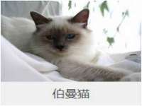 安徽雷昂本信息科技有限公司