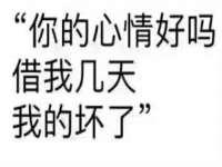 安徽雷昂本信息科技有限公司