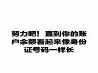 安徽雷昂本信息科技有限公司