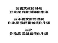 安徽雷昂本信息科技有限公司