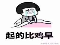 安徽雷昂本信息科技有限公司