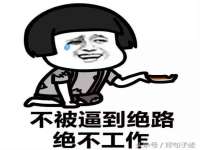 安徽雷昂本信息科技有限公司