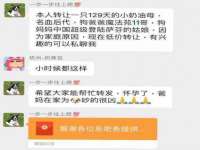 安徽雷昂本信息科技有限公司