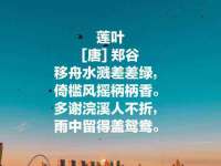 安徽雷昂本信息科技有限公司