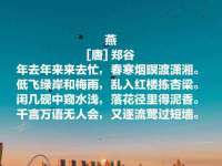 安徽雷昂本信息科技有限公司