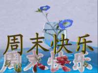 安徽雷昂本信息科技有限公司