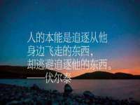 安徽雷昂本信息科技有限公司