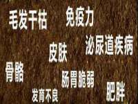 安徽雷昂本信息科技有限公司