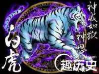 安徽雷昂本信息科技有限公司