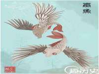 安徽雷昂本信息科技有限公司
