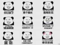安徽雷昂本信息科技有限公司