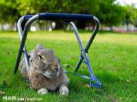 安徽雷昂本信息科技有限公司