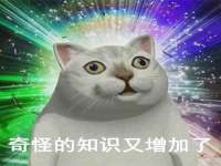 安徽雷昂本信息科技有限公司