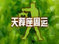 安徽雷昂本信息科技有限公司