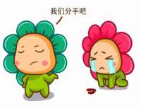 安徽雷昂本信息科技有限公司