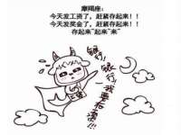 安徽雷昂本信息科技有限公司