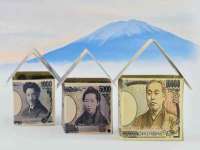 安徽雷昂本信息科技有限公司